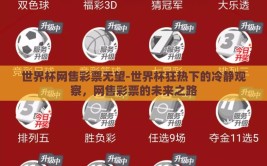 世界杯网售彩票无望-世界杯狂热下的冷静观察，网售彩票的未来之路