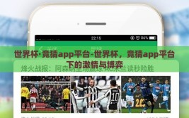 世界杯·竞猜app平台-世界杯，竞猜app平台下的激情与博弈