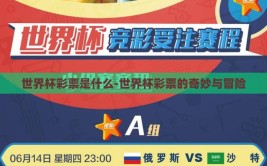 世界杯彩票是什么-世界杯彩票的奇妙与冒险