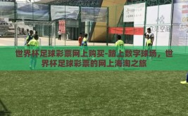 世界杯足球彩票网上购买-踏上数字球场，世界杯足球彩票的网上海淘之旅