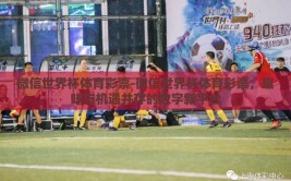 微信世界杯体育彩票-微信世界杯体育彩票，趣味与机遇并存的数字新平台