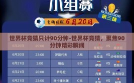 世界杯竞猜只计90分钟-世界杯竞猜，聚焦90分钟精彩瞬间