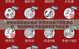 世界杯买彩票在哪买-世界杯狂热下的智慧选择，轻松指南如何合法购买世界杯彩票