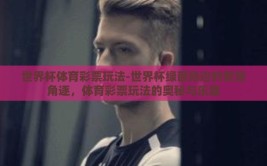世界杯体育彩票玩法-世界杯绿茵场边的智慧角逐，体育彩票玩法的奥秘与乐趣