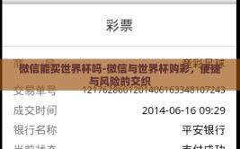 微信能买世界杯吗-微信与世界杯购彩，便捷与风险的交织