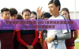世界杯彩票预测结果-2023世界杯彩票精准预测，分析和策略概览
