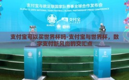 支付宝可以买世界杯吗-支付宝与世界杯，数字支付新风尚的交汇点