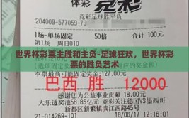 世界杯彩票主胜和主负-足球狂欢，世界杯彩票的胜负艺术