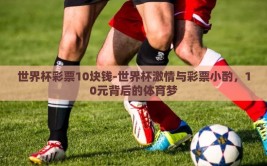 世界杯彩票10块钱-世界杯激情与彩票小酌，10元背后的体育梦