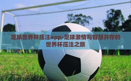 足球世界杯压注app-足球激情与智慧并存的世界杯压注之旅