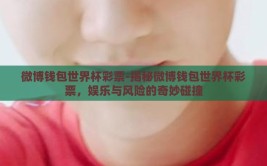 微博钱包世界杯彩票-揭秘微博钱包世界杯彩票，娱乐与风险的奇妙碰撞