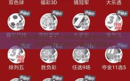 世界杯彩票网站下载-尽情探索激情与命运的交汇，世界杯彩票网站下载的无限魅力