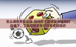 怎么赌世界杯足球-如何在不触碰赌博嫌疑的边缘下，了解与世界杯足球有关的知识