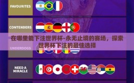 在哪里能下注世界杯-永无止境的赛场，探索世界杯下注的最佳选择