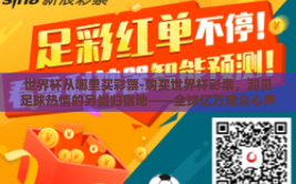 世界杯从哪里买彩票-购买世界杯彩票，洞见足球热情的另类归宿地——全球亿万观众心声的紧密连结