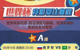 世界杯竞彩票-铭记激情与策略，世界杯竞彩票的欢乐与智慧