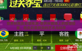 世界杯胜负彩票预测-世界杯赛场上的智慧较量，胜负彩票预测的艺术与科学