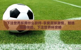 下注世界杯用什么软件-享受足球激情，智选观赛伴侣，下注世界杯攻略