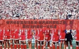 世界杯彩票投注关闭-世界杯的落幕之夜，彩票投注的最后一次机遇