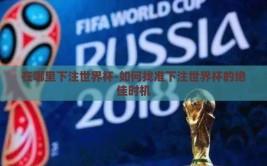 在哪里下注世界杯-如何找准下注世界杯的绝佳时机