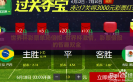 世界杯彩票单场倍投-世界杯激情，彩票倍投的智趣双全