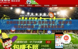 世界杯彩票最高奖金-世界杯彩票，追寻梦想与现实的碰撞——最高奖金的背后