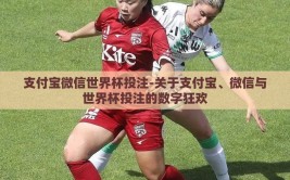 支付宝微信世界杯投注-关于支付宝、微信与世界杯投注的数字狂欢