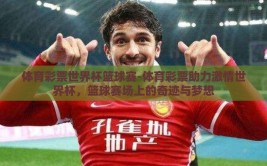体育彩票世界杯篮球赛-体育彩票助力激情世界杯，篮球赛场上的奇迹与梦想