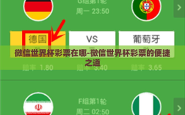微信世界杯彩票在哪-微信世界杯彩票的便捷之道