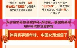 支付宝怎样投注世界杯-支付宝，便捷的数字足球彩票投注新体验