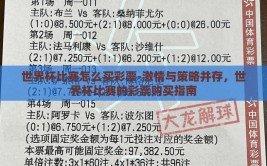 世界杯比赛怎么买彩票-激情与策略并存，世界杯比赛的彩票购买指南