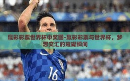 赢彩彩票世界杯中奖图-赢彩彩票与世界杯，梦想交汇的璀璨瞬间