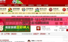2014世界杯彩票奖金-2014世界杯彩票奖金，意外之喜与激情瞬间