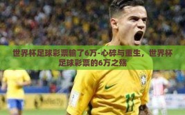 世界杯足球彩票输了6万-心碎与重生，世界杯足球彩票的6万之殇