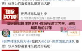微信在哪投注世界杯-微信投注世界杯，理智与风险的并存