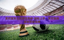 支付宝怎么买球世界杯-轻松上手，支付宝购球世界杯指南