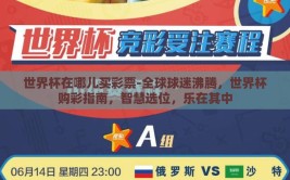 世界杯在哪儿买彩票-全球球迷沸腾，世界杯购彩指南，智慧选位，乐在其中