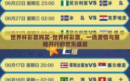 世界杯彩票购买-世界杯彩票，一场激情与策略并行的欢乐盛宴
