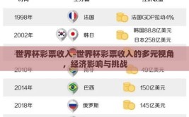 世界杯彩票收入-世界杯彩票收入的多元视角，经济影响与挑战