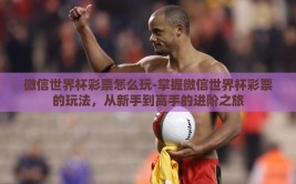 微信世界杯彩票怎么玩-掌握微信世界杯彩票的玩法，从新手到高手的进阶之旅