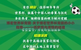 博宏世界杯竞猜-关于博宏世界杯竞猜的小小指南——一场梦想与激情的碰撞
