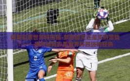 体育彩票世界杯四强-梦想破灭还是炙热激情？——亲历体育彩票世界杯四强的狂热
