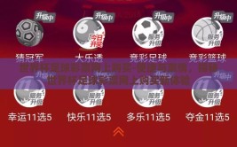 世界杯足球彩票网上购买-便捷与激情，揭秘世界杯足球彩票网上购买新体验