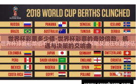 世界杯彩票多少倍-世界杯彩票的奇妙倍数，机遇与决策的交响曲