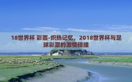 18世界杯 彩票-炽热记忆，2018世界杯与足球彩票的激情碰撞