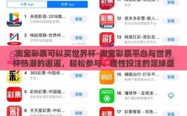 淘宝彩票可以买世界杯-淘宝彩票平台与世界杯热潮的邂逅，轻松参与、理性投注的足球盛宴