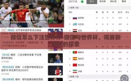 微信怎么下注世界杯-微信与世界杯，观赛新体验的探索
