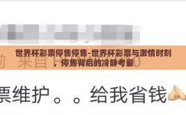 世界杯彩票停售停售-世界杯彩票与激情时刻，停售背后的冷静考量