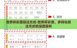 世界杯彩票投注方式-世界杯彩票，多样化投注方式的深度探析