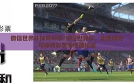 微信世界杯体育彩票-微信世界杯，连接球迷与体育彩票的便捷桥梁